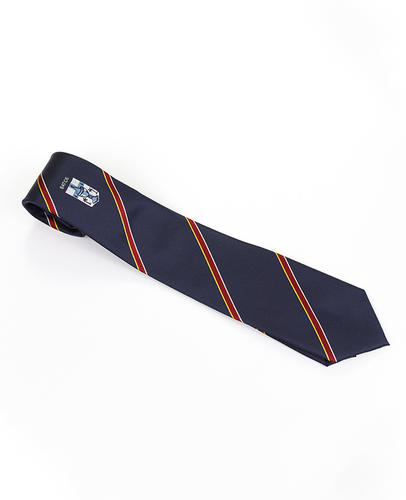 FN-001 Corbata de seda hecha a mano con logo de escuela secundaria de color azul de alta calidad