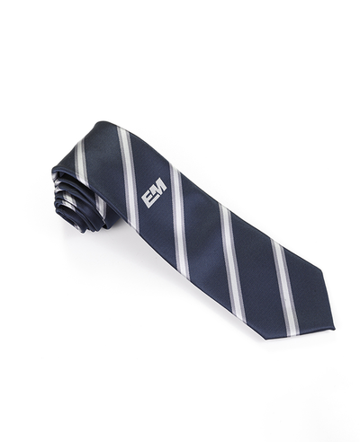FN-007 Corbata de seda hecha a mano con logotipo de la escuela de color de fondo azul